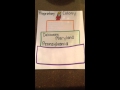 The Government Structure of the 13 Colonies Explained