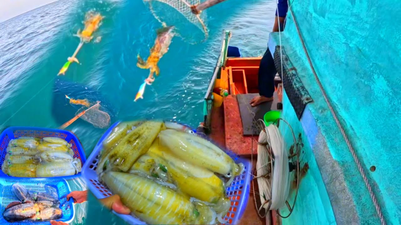 CŨNG LÂU LẮM RỒI MỚI TRỞ VỀ NGHỀ CÂU LÔI MỰC 