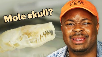 Unboxing The Weirdest Subscription Boxes