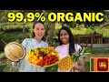 The worlds most organic and unmodified fruits and vegetables  sri lanka midigama fruit farm