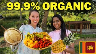 The World's Most Organic and Unmodified Fruits and Vegetables | Sri Lanka, Midigama Fruit Farm🇱🇰