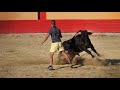 Suelta de 2 Toros Bravos en Los Expolios 2021