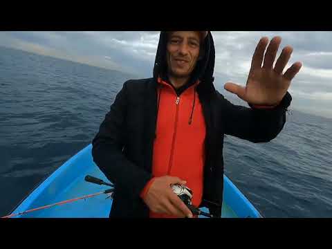 Catching Squids Fishing Technique 