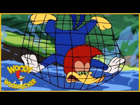Woody Woodpecker Show | Birdhounded | Full Episode | Cartoons For Children