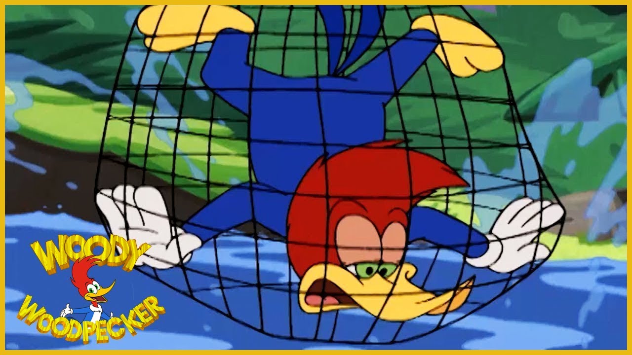 Woody Woodpecker Show | Birdhounded | Full Episode | Videos For Kids