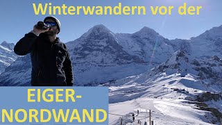 Winterwanderung vor der Eiger-Nordwand: Männlichen - Kleine Scheidegg, von Grindelwald (Schweiz)