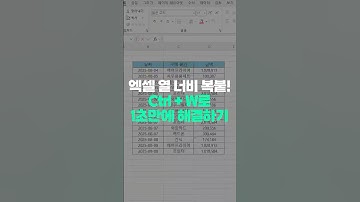 엑셀 열 너비 그대로 복붙하는 방법, 1초면 해결 가능합니다!