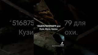 5168757421190879. для Кузи, Муси, Крохи.#беженцы#переселенцы #донбасс