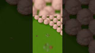 Dolucky No Kusayakiu