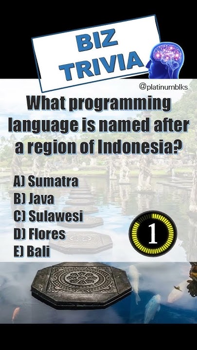 Biz Trivia: What programming language is named after a region of ...