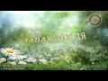 ЗАПАХ ДОЖДЯ | Музыка для души (Music for the soul)