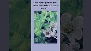 Guess the picture -17|| picture question || guess the plants || #guessthepicture #guess #plants Guess the picture -17|| picture question || guess the plants || #guessthepicture #guess #plants