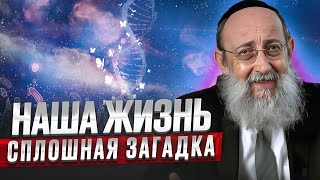 Наша жизнь сплошная загадка. Рав Ашер Кушнир