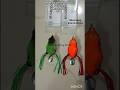 MORIZO CHEETO FROGS || 13 Grams || price - 150/- @Warangalfishingtackles #morizo #frog #cheetos
