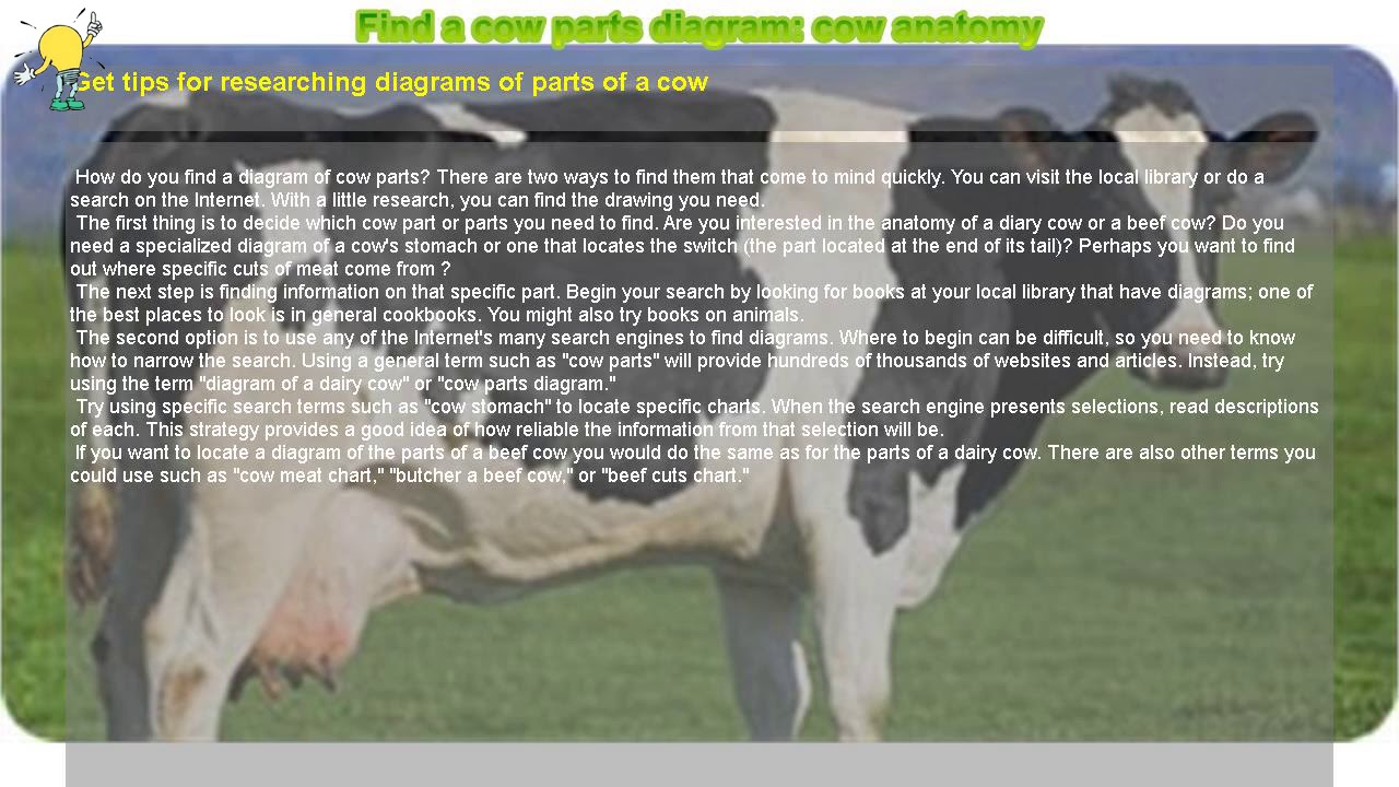 How to : Find a cow parts diagram: cow anatomy