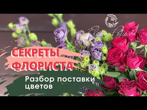 Как Обработать Фото Цветов