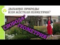 Свободные природные формы или жёсткая геометрия?