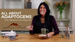 All About Adaptogens with Dr. Tieraona Low Dog