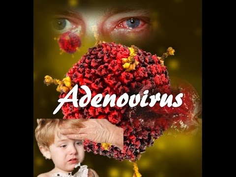 Vídeo: Diferencia Entre Adenovirus Y Retrovirus