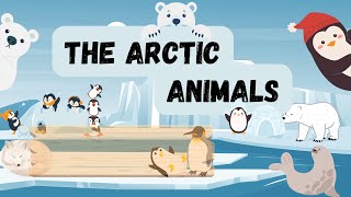The Arctic Animals Song| Polar Animals For Kids| Learn & Sing| Educational Learning Video For Kids