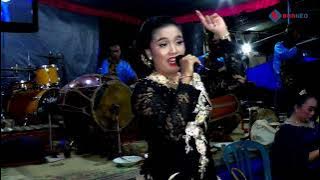 Merinding ( lagu lawas ) // Gema Manunggal // Borneo Multivision // Nardi sound