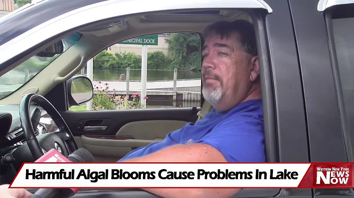 Harmful Algal Blooms Cause Problems In Lake