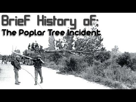 Video: Ano ang puting poplar tree?