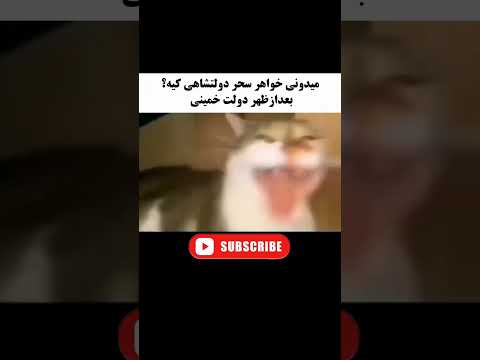 معلومه که واقعا دم دمه های رد دادنمه یا باید جور دیگه ای نشون بدم  