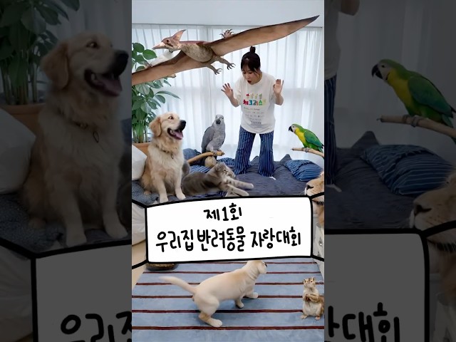 내새끼 나만 볼 수 없지