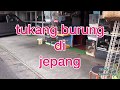 tukang burung di jepang・harga burung di jepang・burung gacor
