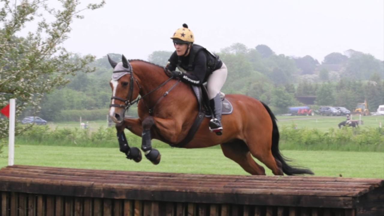 dressage arena BRC Horslyx Senior Festival of the Horse Championships 2016