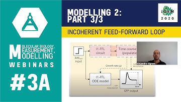 Week #3A: Modelling Part 3/3 - Example: Incoherent Feed-Forward Loop - iGEM 2020 Measurement Webinar