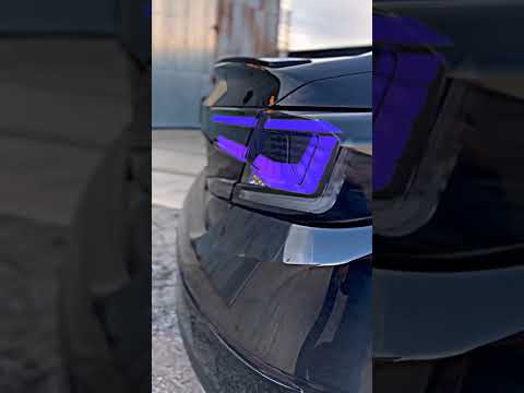 Honda Insight #deaddrop #airsuspension #shorts #youtubeshorts #modifiedcars #hondainsight