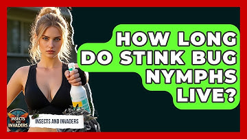 How Long Do Stink Bug Nymphs Live? - Insects and Invaders