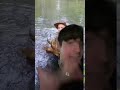 TikTok Di Xiao #Shorts