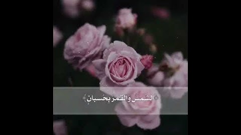 قران كريم | آيات من سورة الرحمن ~~