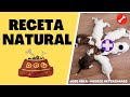 🛑 Que Darle de COMER a un CACHORRO de (1 ) MES ⏩Aprende ( 1 )  Formula CASERA  y NATURAL✅