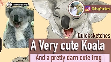 Drawing a Cute Koala and Frog in Procreate | IpadPro