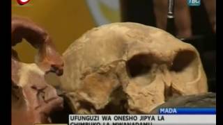 Maonesho Ya Historia Ya Chimbuko La Mwanadamu