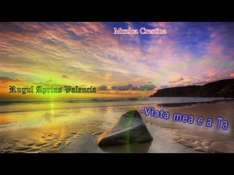 Rugul Aprins Valencia-