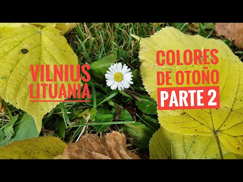 🇱🇹VILNIUS🍁Colores de otoño🍁Parte