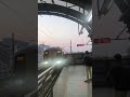 Blue line metro departure and arrival at Botanical Garden station #bluelinemetro #dmrc