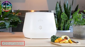 | GADGET LUV | Lomi: Turn Waste To Compost With A Single Button! ♻️