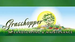 Landscaping | Sierra Vista, AZ - Grasshopper Landscaping & Maintenance LLC