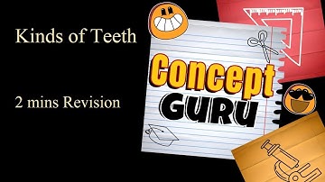 Kinds of Teeth | Class 4 | ICSE | Science | 2 minute Revision | Science Olympiad