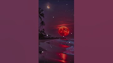 اللهم آمين يارب العالمينقران الكريم شهر رمضان #الله