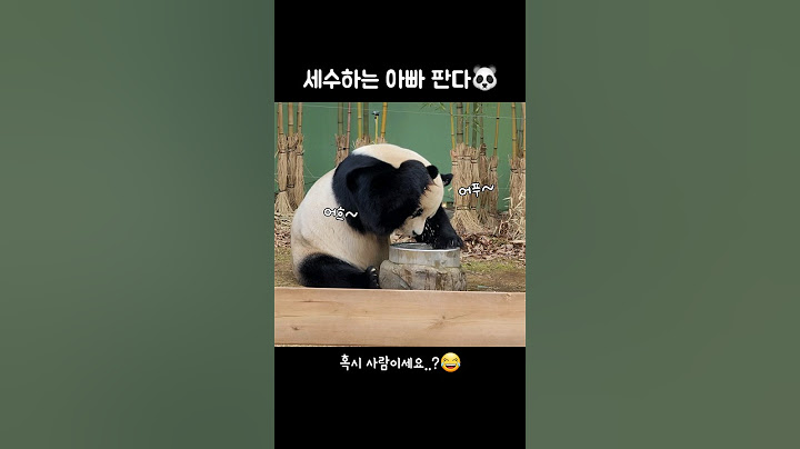 세수하는 아빠판다 러바오🐼 혹시 사람이세요..?🤣 #Lebao #러바오 #panda