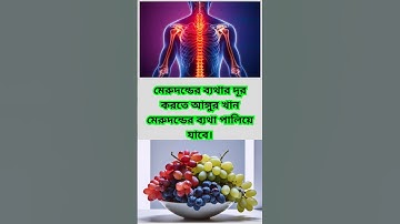 general knowledge || quiz | spinal cord part  41