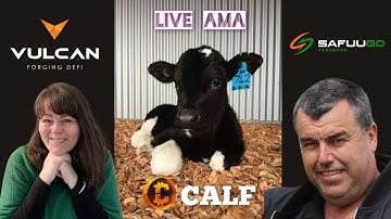 CAUSE FOR THE CALVES LIVE AMA - PAIRING WITH SAFUU GO (SGO)/ Vulcan Blockchain Project