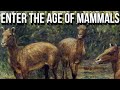 Dawn of the Age of Mammals